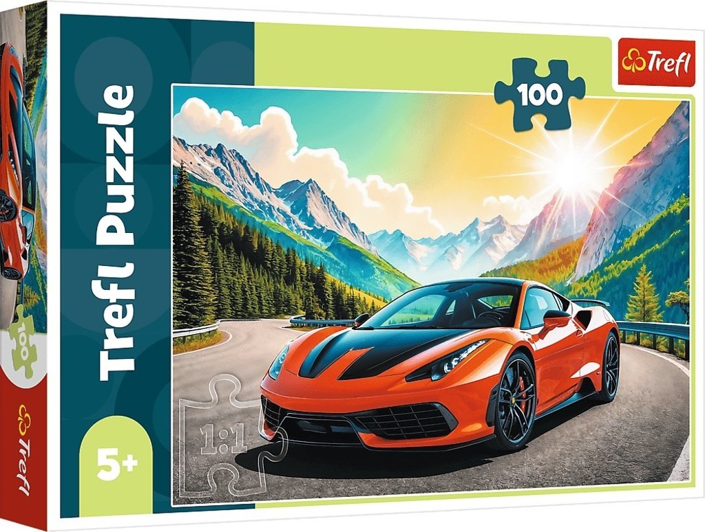 Puzzle Závod s časem 100 dílků