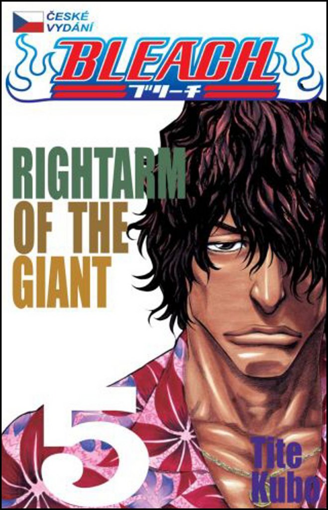 Bleach 5: Right Arm of the Giant
