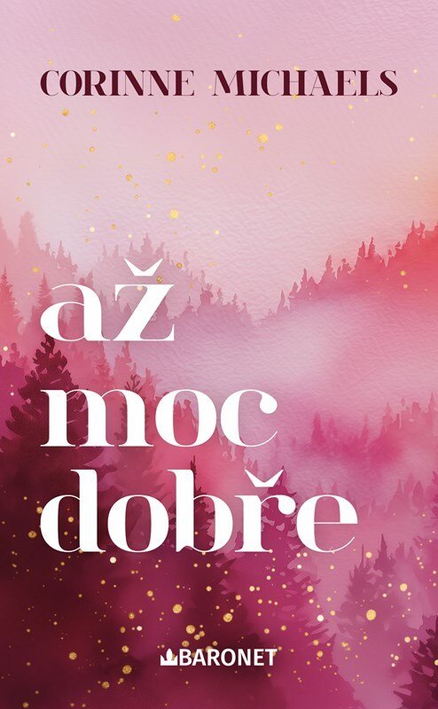 Až moc dobře