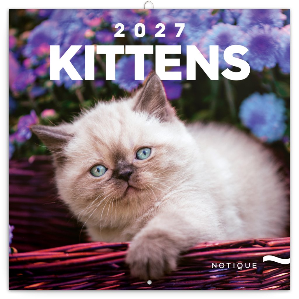 Kalendář 2027 poznámkový: Koťata 2027, 30 x 30 cm