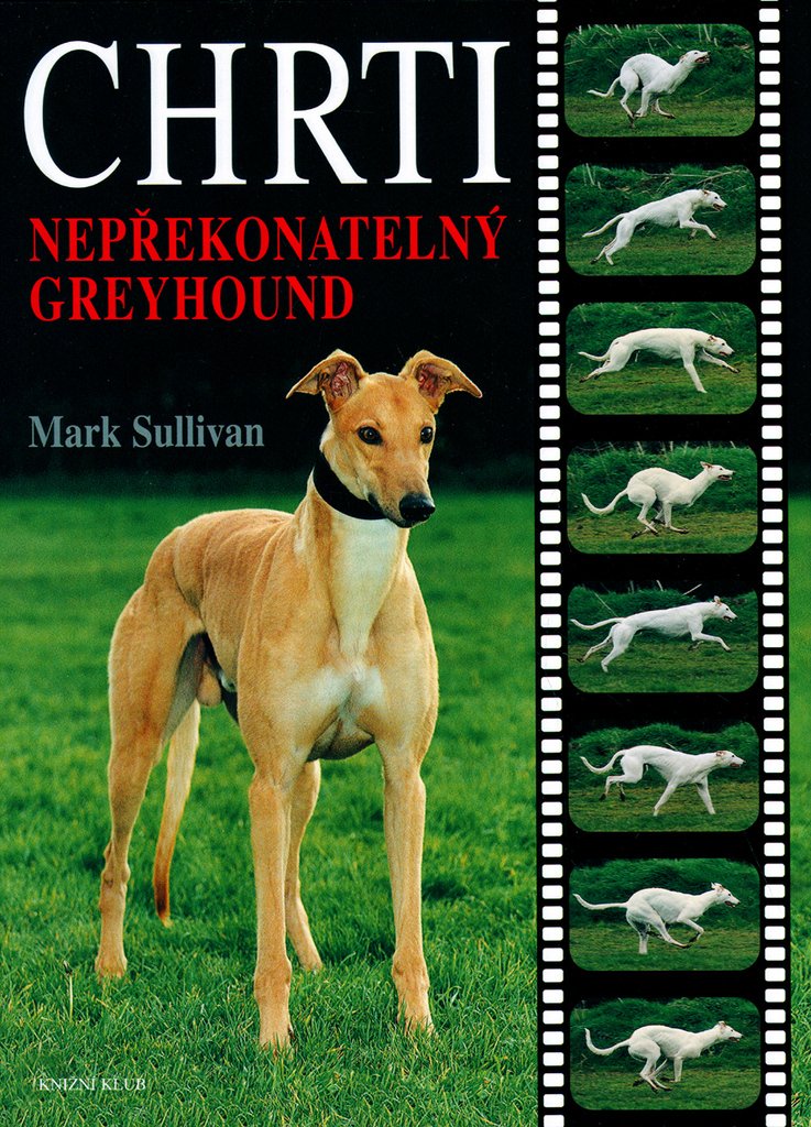 Chrti - Nepřekonatelný Greyhound