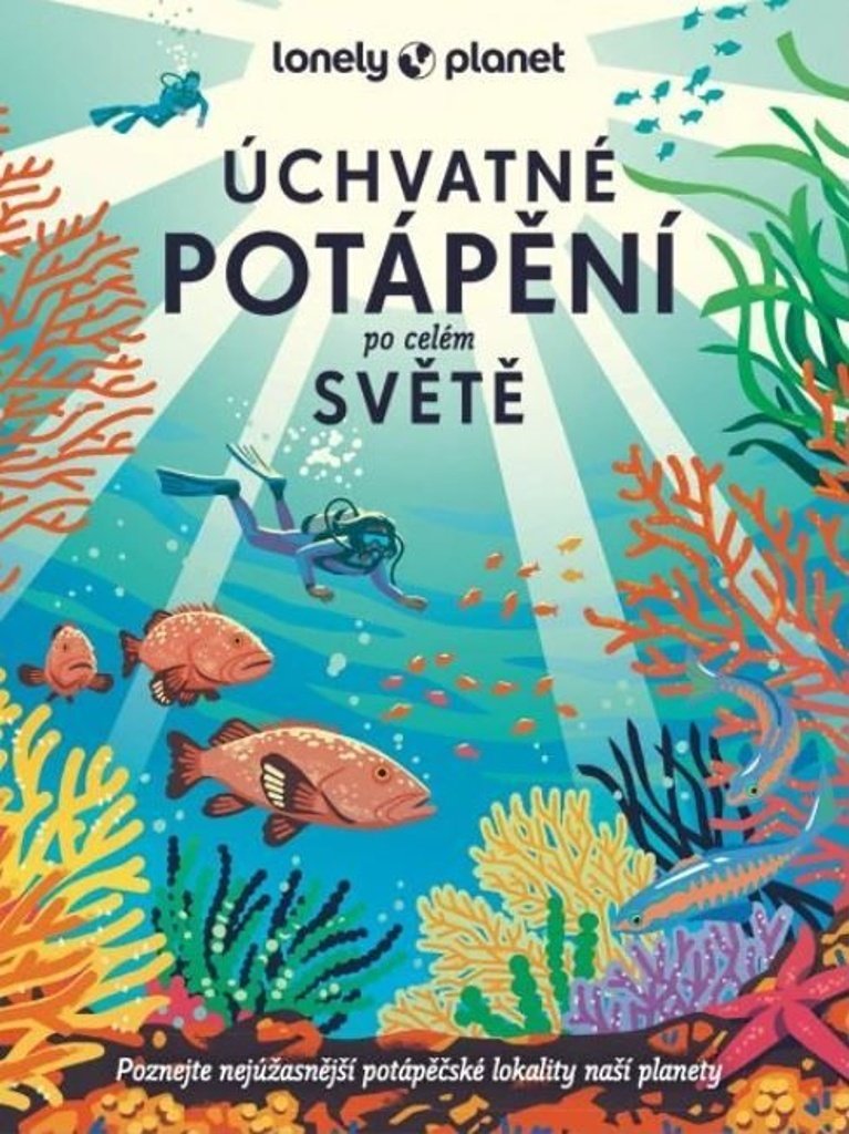 Úchvatné potápění po celém světě - Lonely Planet
