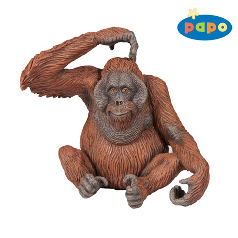 Orangutang
