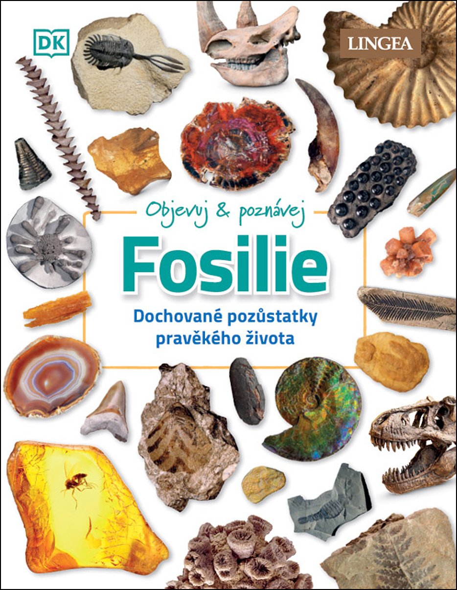 Objevuj a poznávej Fosílie - Dochované pozůstatky pravěkého života