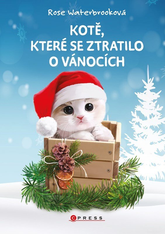 Kotě, které se ztratilo o Vánocích