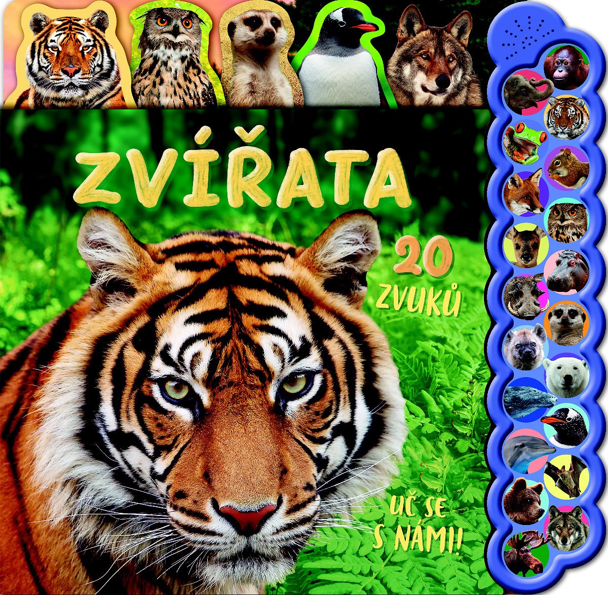 Zvířata 20 zvuků - Uč se s námi!