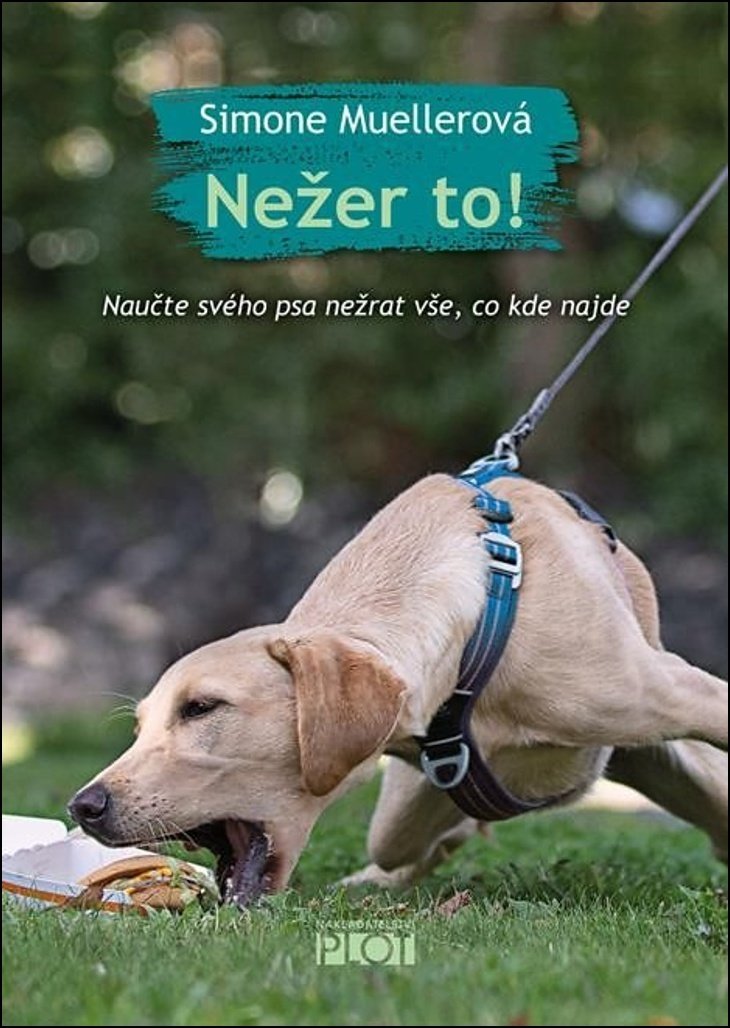 Nežer to! Naučte svého psa nežrat vše, co kde najde