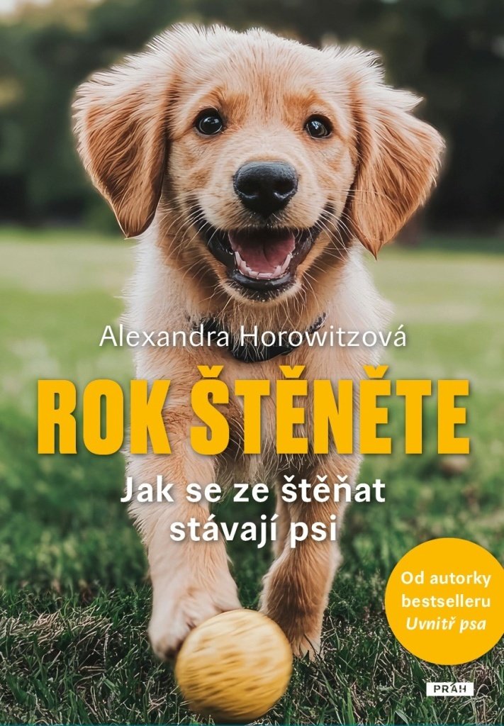Rok štěněte - Jak se ze štěňat stávají psi