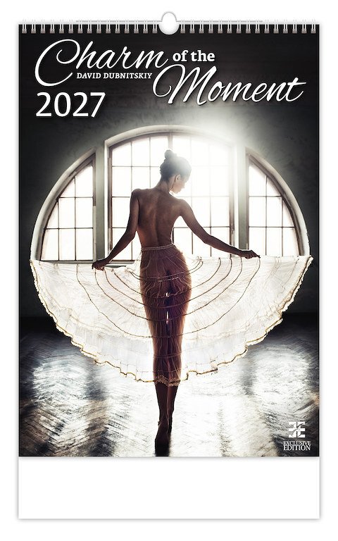 Kalendář nástěnný 2027 - Charm of the Moment