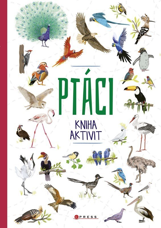 Ptáci - kniha aktivit