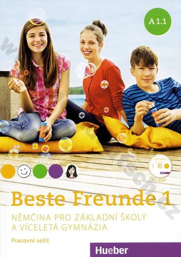 Beste Freunde 1 (A1/1): pracovní sešit