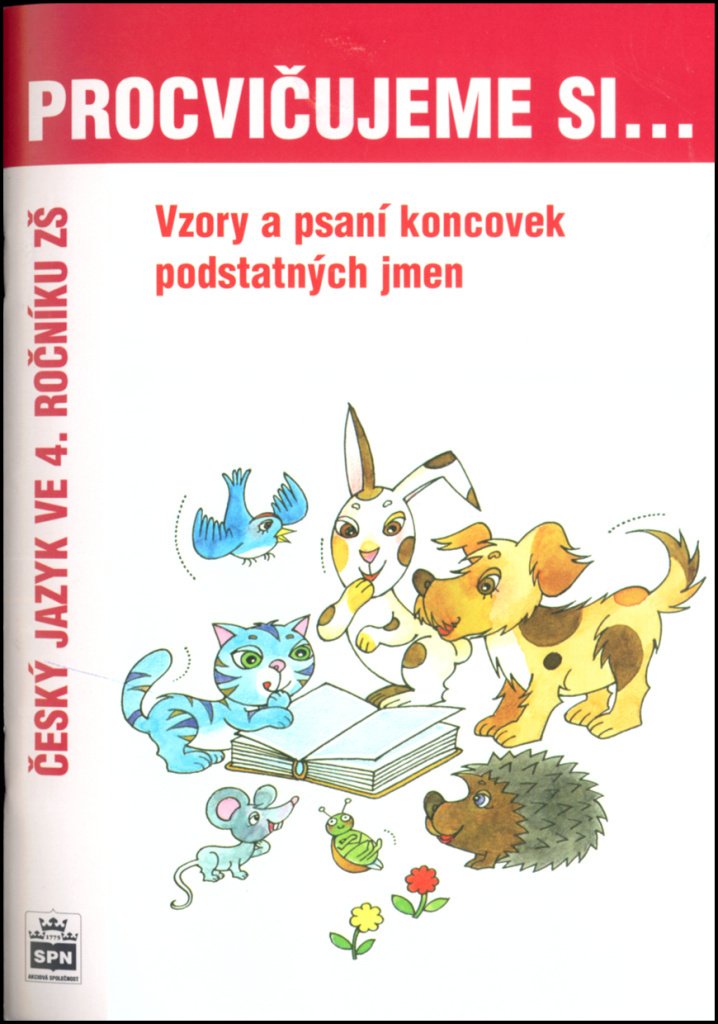 Procvičujeme si vzory a psaní koncovek podstatných jmen pro 4. r. ZŠ