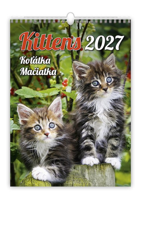 Kalendář nástěnný 2027 - Kittens/Koťátka/Mačičky