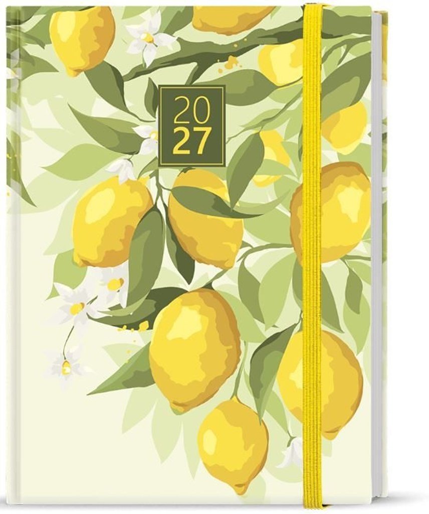 Týdenní diář Prokop Lamino B6 Citron